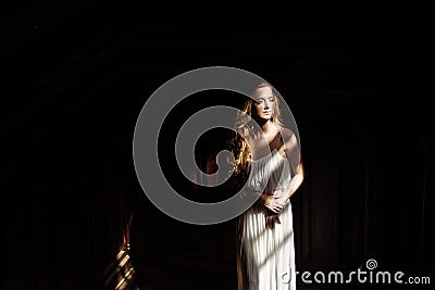 Indoor summer portrait of young pretty cute girl. Beautiful woman posing beside fairytale window inside wood cabinet, scars old ca Stock Photo