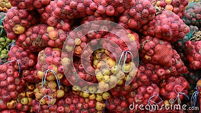 Industrial apple for apple juice Stock Photo