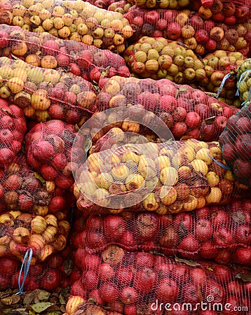 Industrial apple for apple juice Stock Photo