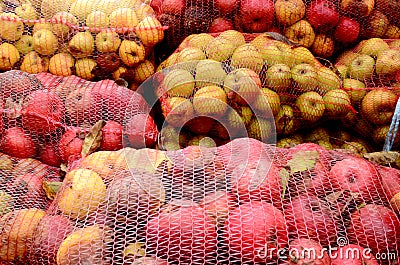 Industrial apple for apple juice Stock Photo