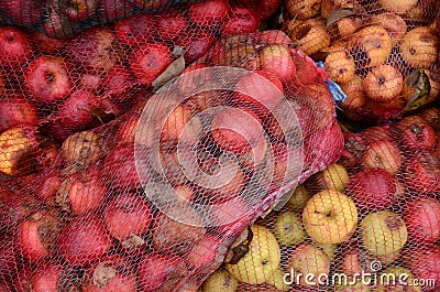 Industrial apple for apple juice Stock Photo