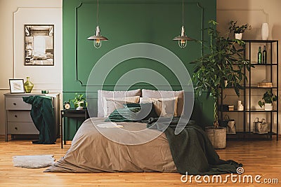 Industrial bookshelf and wooden commode in contemporary bedroom interior with urban jungle Stock Photo