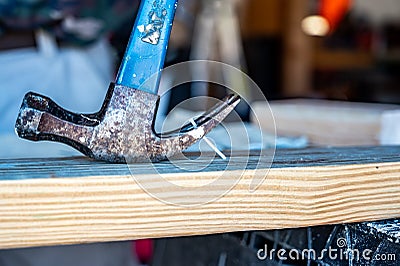 Pulling a bent nail from a wooden board with hammer claw Stock Photo