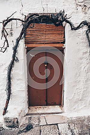 Industrial Charm: Overgrown Branch and Roll-up Door Stock Photo