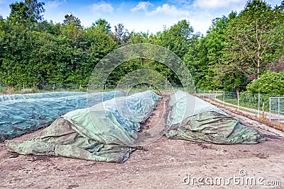 Industrial composting Stock Photo