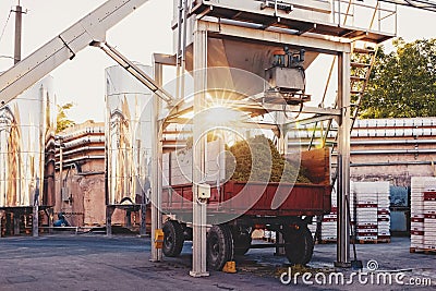 Industrial equipment of wine factory, mashine for separating grape combs Stock Photo