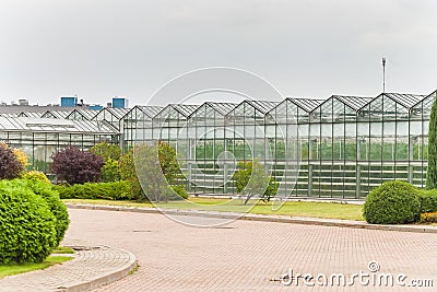 Industrial glass greenhouses in the city of Minsk in the afternoon Stock Photo