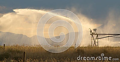 Industrial Grade Field Sprinkler Irrigation Spraying Crop Field in Colorado Stock Photo