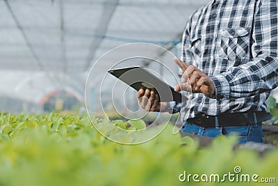 In the Industrial Greenhouse Agricultural Engineer Test Plants Health and Analyze Data with Tablet Computer Stock Photo