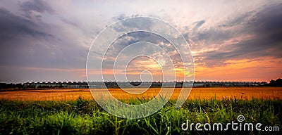 Industrial greenhouse in wheat field at sunset Stock Photo