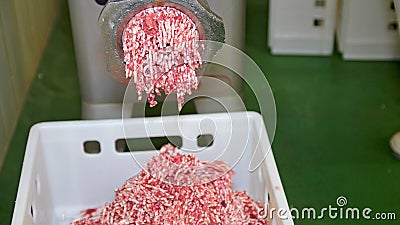 Industrial Meat Grinder Close Up Stock Photo
