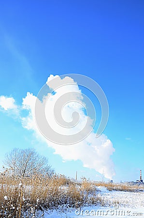 The industrial plant is located behind the swampy terrain, covered with snow. Large field of yellow bulrushes Stock Photo