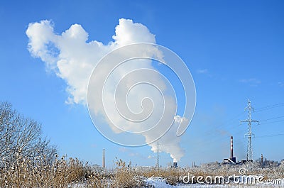 The industrial plant is located behind the swampy terrain, covered with snow. Large field of yellow bulrushes Stock Photo