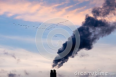 Industrial pollution chimneys and wildlife concept Stock Photo