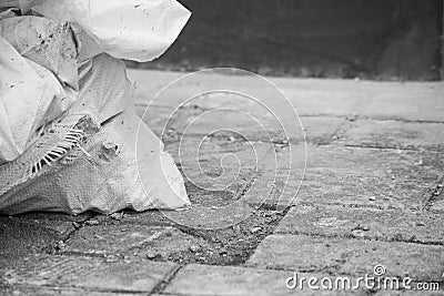 Industrial trash bag is on unfinished paving stones Stock Photo