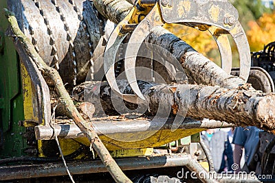 Industrial wood chipper in action Stock Photo