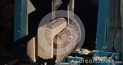 Industriële houtsnijmachine. houtverwerking. verbrijzeling van een boom. zagerijen voor de recycling van buitenpallets voor pellet stock video Industriële houtsnijmachine. houtverwerking. verbrijzeling van een boom. zagerijen voor de recycling van buitenpallets voor pellet stock video