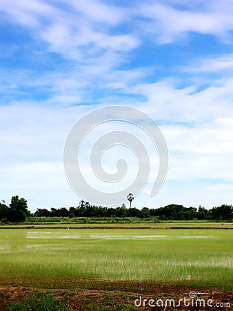 Ines in Singburi Stock Photo