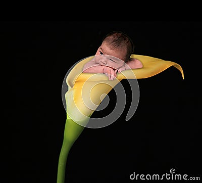 Infant Baby Girl Inside Stock Photo