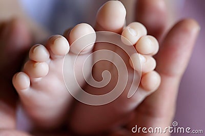 Infant feet Stock Photo