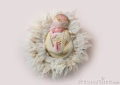 Infant sleeping swaddled with rabbit toy, topview Stock Photo