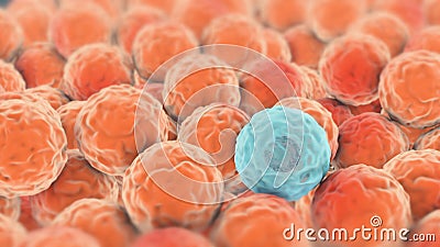 Infected cell Stock Photo