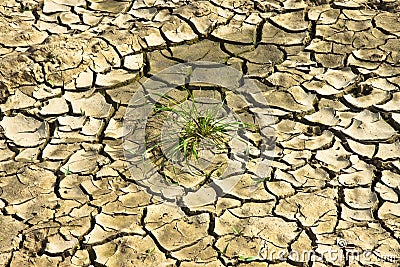 Infertile land burned by the sun: famine and poverty concept Stock Photo