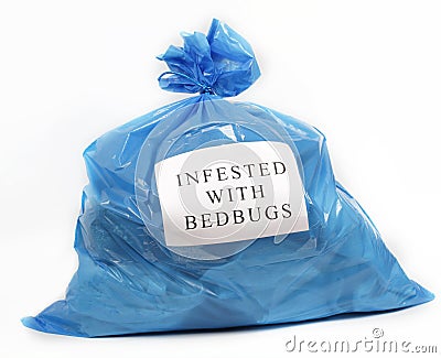 Infested with bedbugs Stock Photo