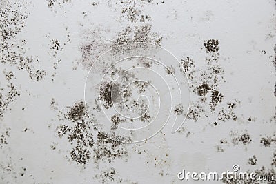 Infiltration and mold on the ceiling Stock Photo