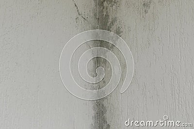 Infiltration and mold on the ceiling Stock Photo