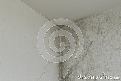 Infiltration and mold on the ceiling Stock Photo