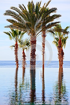 Infinity edge swimming pool Stock Photo