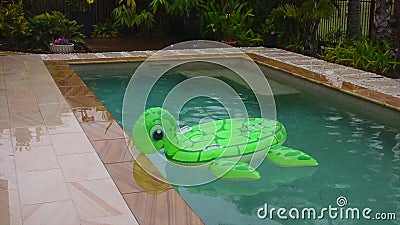 blow up turtle pool toy