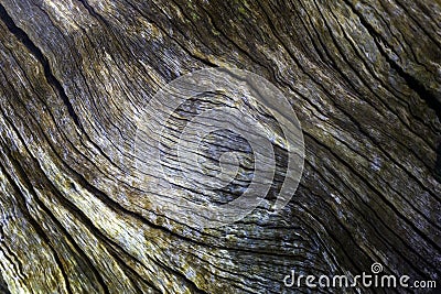 The weather influences on bare wood have a disastrous influence over time Stock Photo