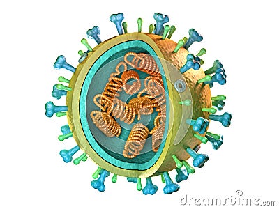 Influenza virus diagram Cartoon Illustration