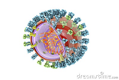 Influenza virus illustration Cartoon Illustration