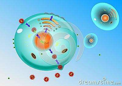 Influenza Virus Replication Vector Illustration