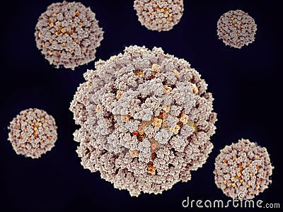 Influenza viruses Stock Photo