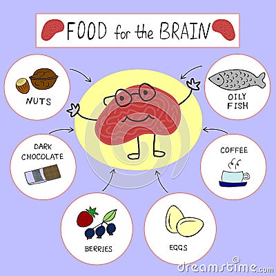 Info graphics Proper nutrition for the brain Vector Illustration