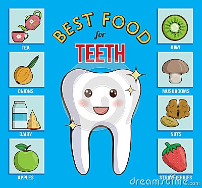 Infographic chart for dental and health care. It shows best food products for teeth, gums and enamel. Dairy, fruit, nuts, vegetabl Vector Illustration