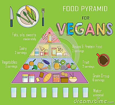 Infographic chart, illustration of a food pyramid for vegetarian nutrition. Shows healthy food balance for successful growth, educ Vector Illustration