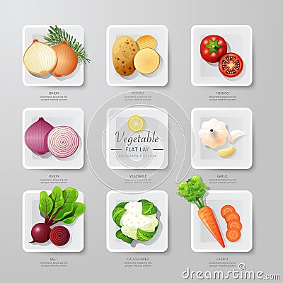 Infographic food vegetables flat lay idea. Vector illustration Vector Illustration