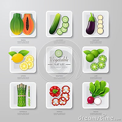 Infographic food vegetables flat lay idea. Vector illustration Vector Illustration
