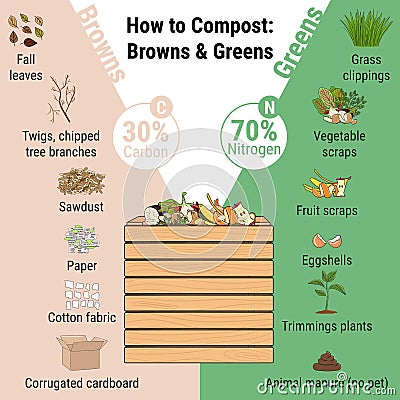 Infographic of garden composting bin with scraps. What to compost. Green and brawn ratio for composting. Recycling organic waste. Vector Illustration