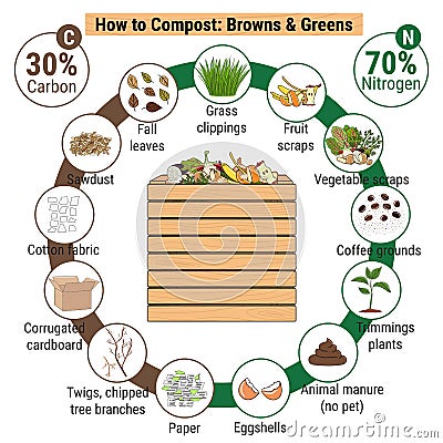 Infographic of garden composting bin with scraps. What to compost. Green and brawn ratio for composting. Recycling organic waste. Vector Illustration