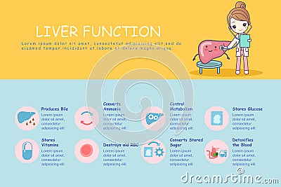 Infographic of liver Vector Illustration