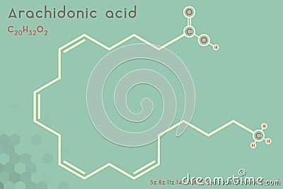 Infographic of the molecule of Arachidonic acid Vector Illustration