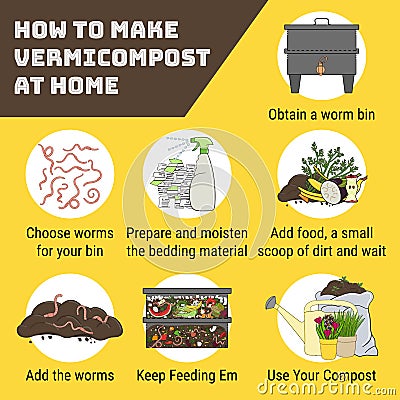 Infographic of vermicomposting. How to make vermicompost at home. Worm composting. Recycling organic waste, vermicomposter. Vector Illustration