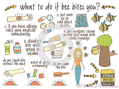 Infographic about what to do if bee bites you. Vector Illustration