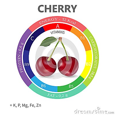 Infographics about the beneficial properties and nutrients in cherry Vector Illustration